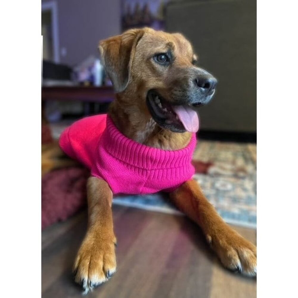 American-Made Knit Pet Sweaters